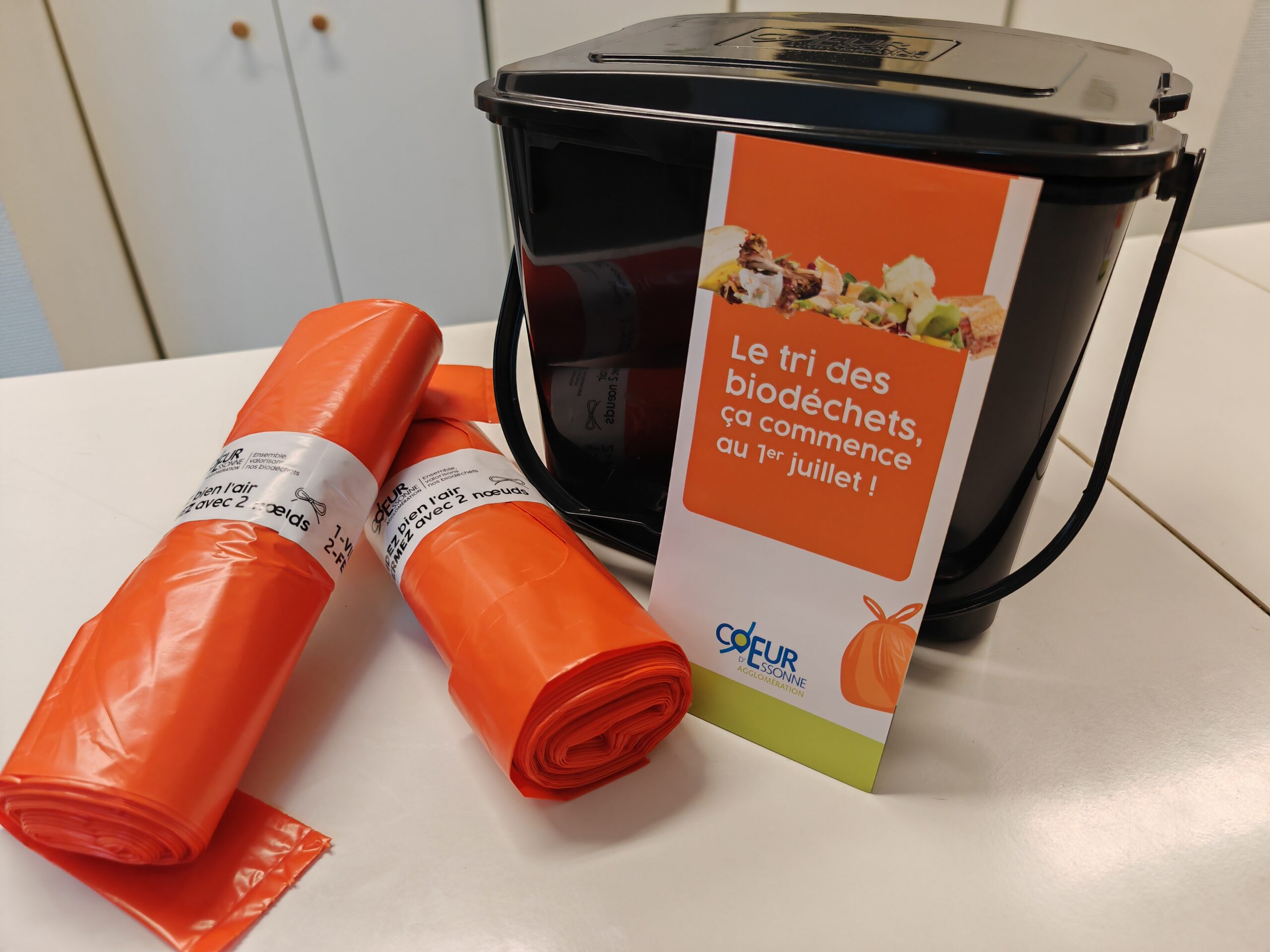 Broyeur à Déchets ACE Hardware 1/3 HP – Modèle 1000 47981, Gris, D'occasion